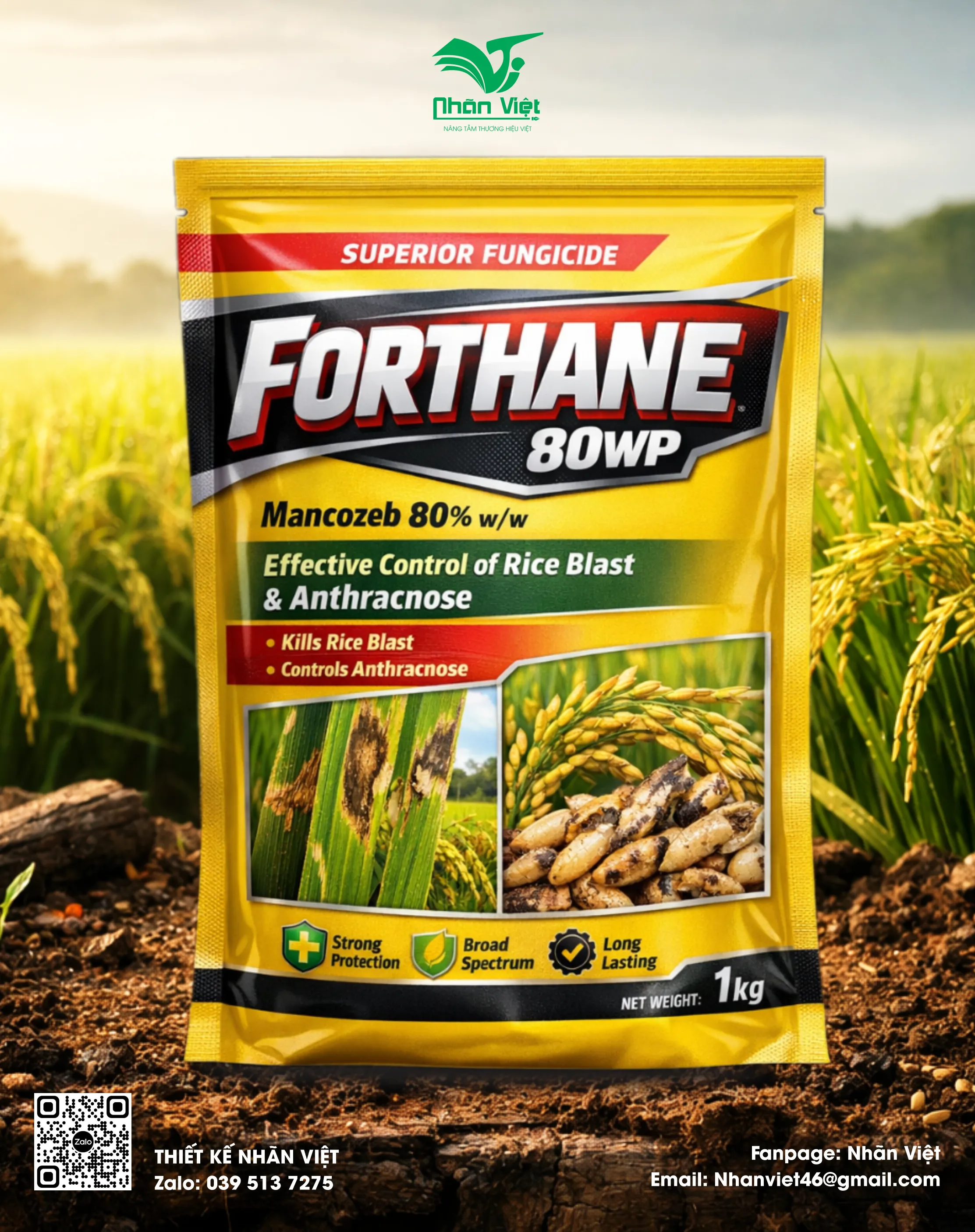 Nhãn mác & Bao bì